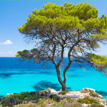 Holiday home Stone House Tamara